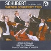 Vienna Schubert Trio - Schubert: The Piano Trios (CD)