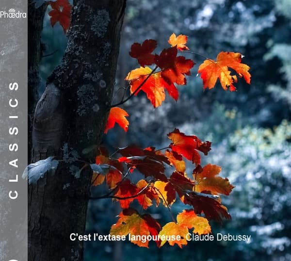 Werner Van Mechelen & Marc Deckers - C'est L'extase Langoureuse - Claude Debussy (CD)