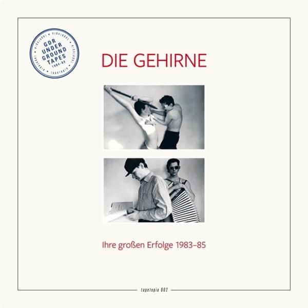 Die Gehirne - Ihre Grossen Erfolge 1983-85 (LP)