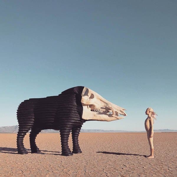 Man Man - Dream Hunting In The Valley Of The In-Between (2 LP)