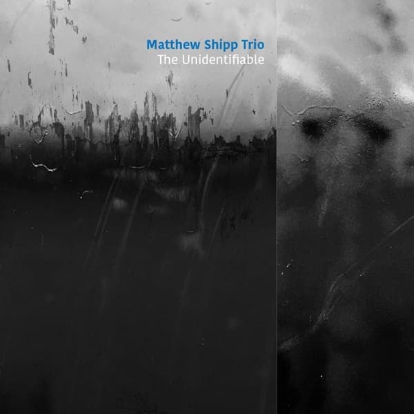 Matthew Shipp Trio - The Unidentifiable (CD)