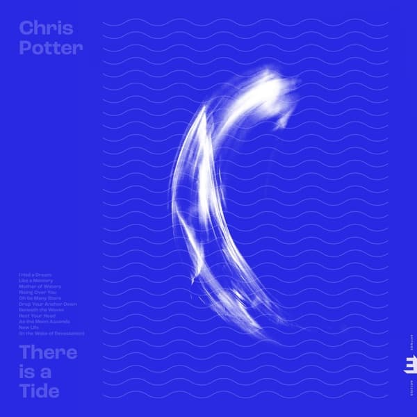 Chris Potter - There Is A Tide (LP) (Limited Edition) (Coloured Vinyl)