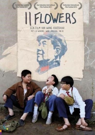 11 Flowers (DVD)