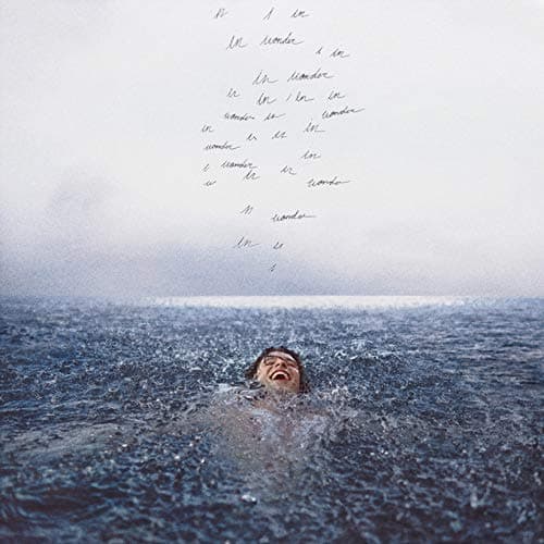 Mendes,  Shawn - Wonder (dlx)
