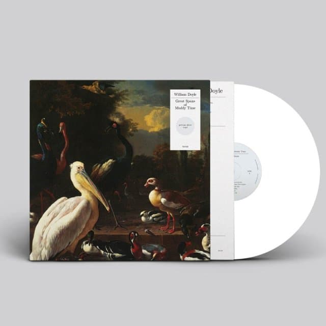 William Doyle - Great Spans Of Muddy Time (LP) (Coloured Vinyl)