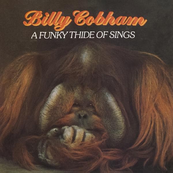 Billy Cobham - A Funky Thide Of Sings (CD)