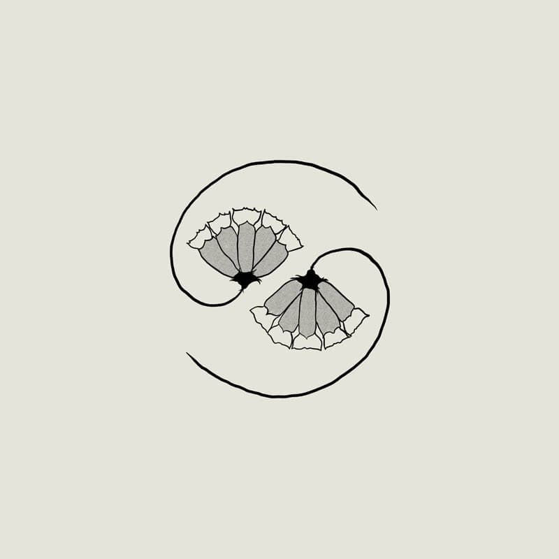 Godspeed You! Black Emperor - G_d's Pee At State's End! (CD)
