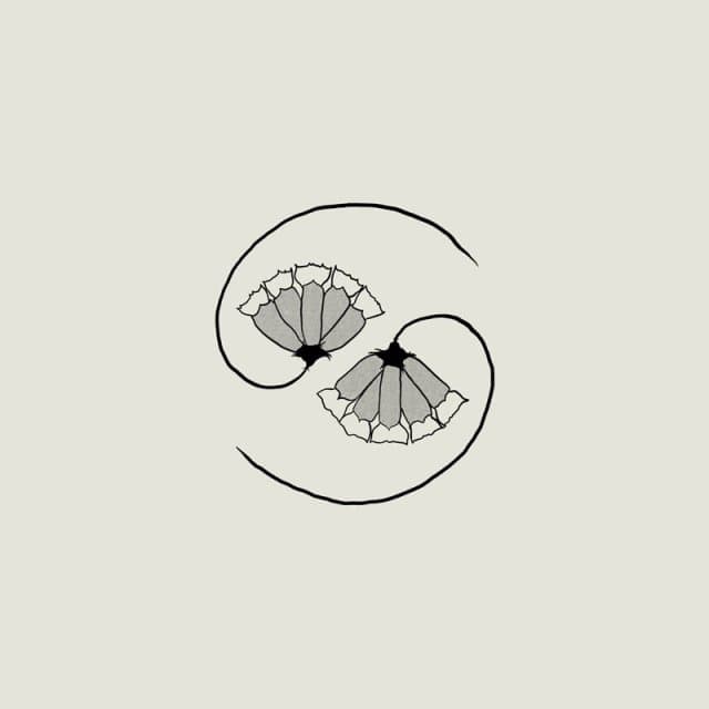 Godspeed You! Black Emperor - G_d's Pee At State's End! (CD)