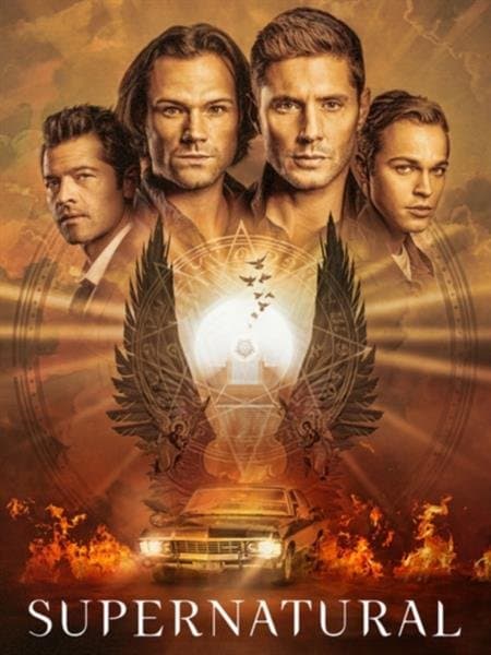 Supernatural S15 (Import)