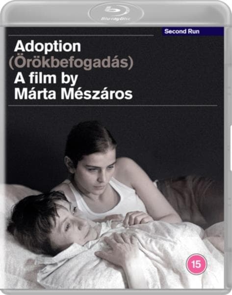 Adoption (Import)