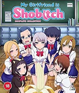 My Girlfriend Is Shobitch Collection (Import)