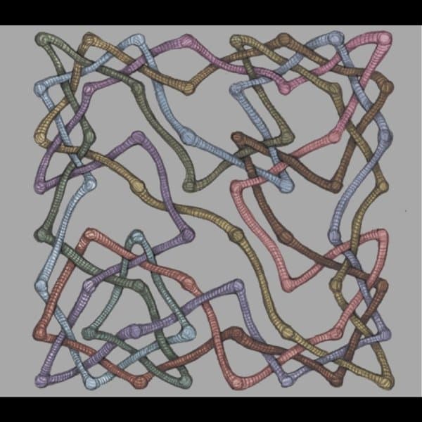 Miles Okazaki, Trevor Dunn, Dan Weiss - Hive Mind (CD)