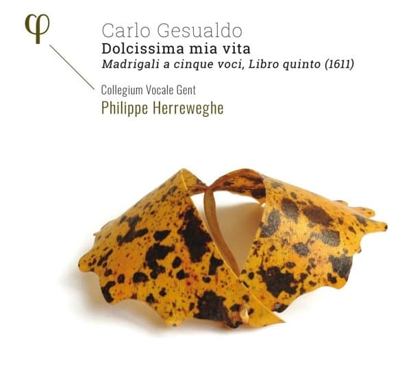 Collegium Vocale Gent, Philippe Herreweghe - Gesualdo: Dolcissima Mia Vita - Madrigali A Cinque Voci, Libro Quinto (1611) (CD)