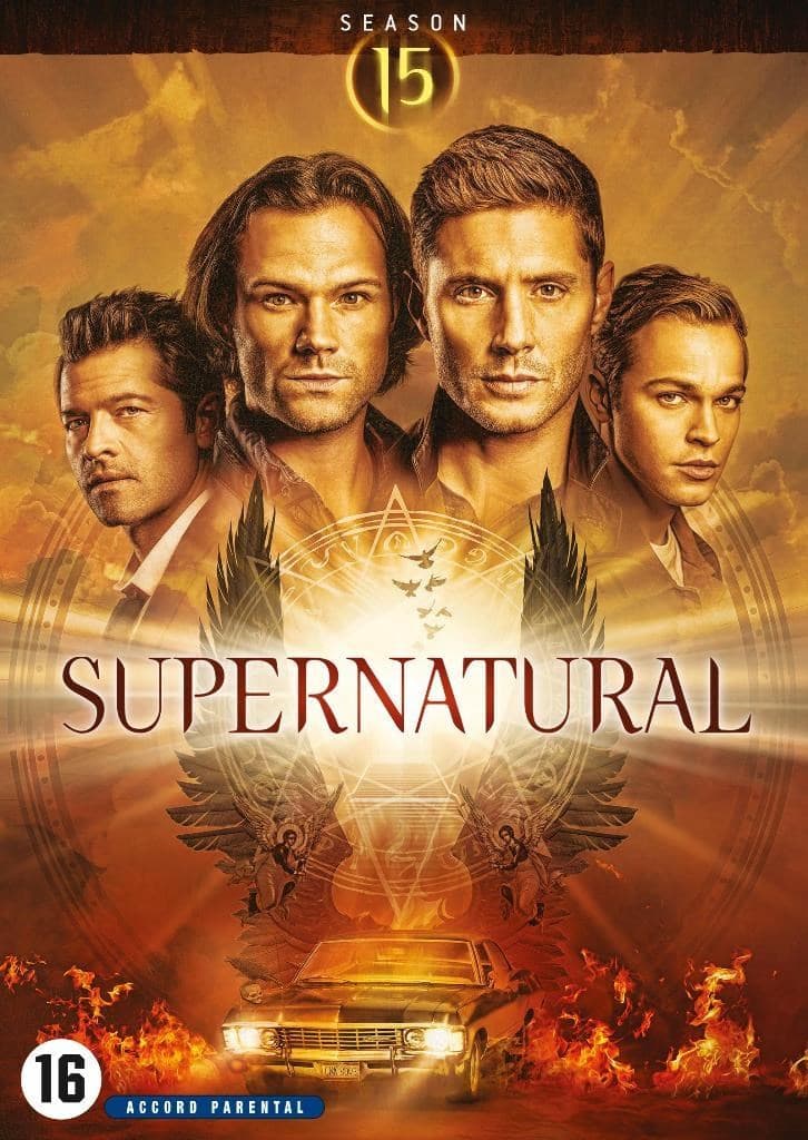 Supernatural - Seizoen 15  (DVD)