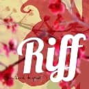 Jan Henk De Groot - Riff (CD)