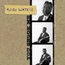 Muddy Waters - You Shook Me - The Chess Masters, V