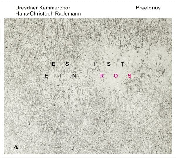 Dresdner Kammerchor, Hans-Christoph Rademann - Praetorius: Es Ist Ein Ros (CD)