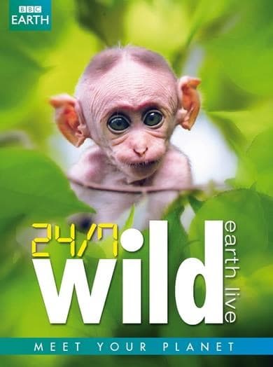 BBC Earth - 24/7 Wild (DVD)