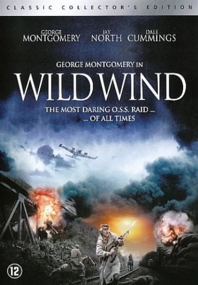 Wild wind (DVD)