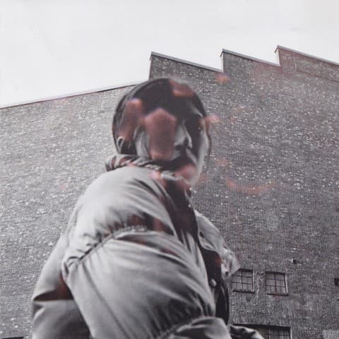 Aldous Harding - Warm Chris (LP)