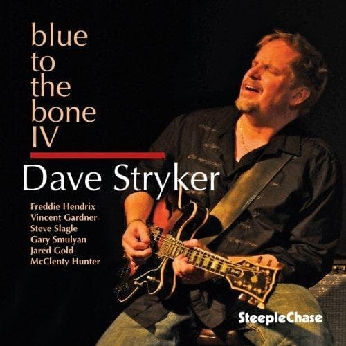 Dave Stryker - Blue To The Bone IV (CD)