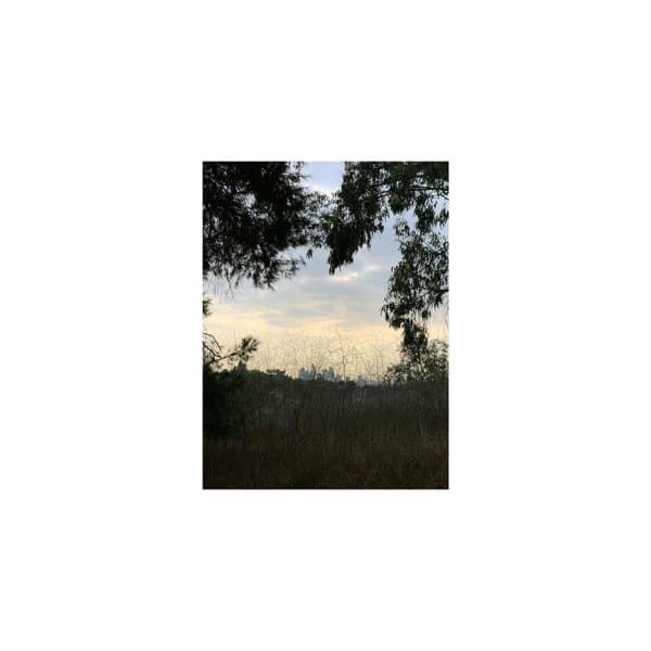 Jon Porras - Arroyo (LP) (Limited Edition) (Coloured Vinyl)