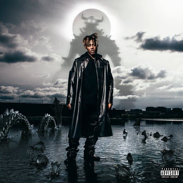 Juice WRLD - Fighting Demons (2 LP)