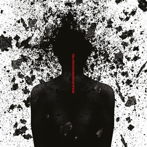 Velcrocranes - What If I Die (2 LP)