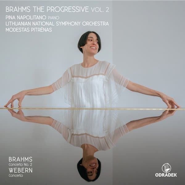 Pina Napolitano - Brahms The Progressive Vol. 2 (CD)