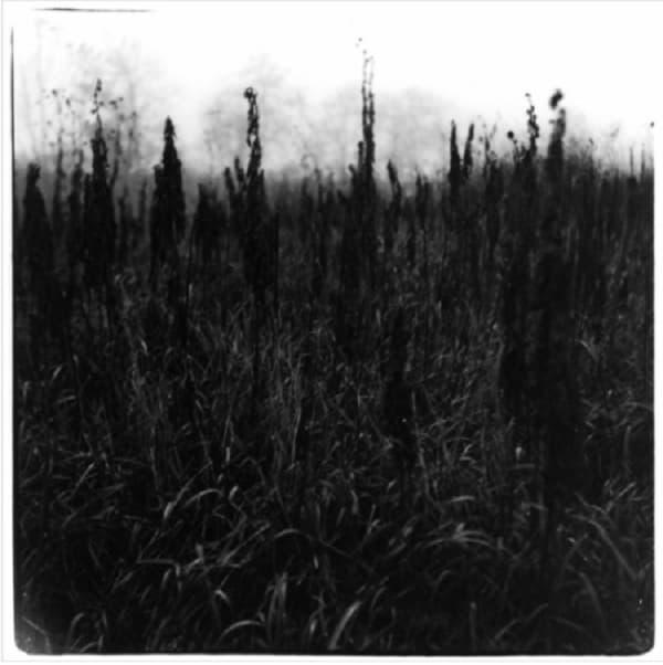 David Bennet & Vilhelm Bromander - Within Reach Of Eventuality (CD)