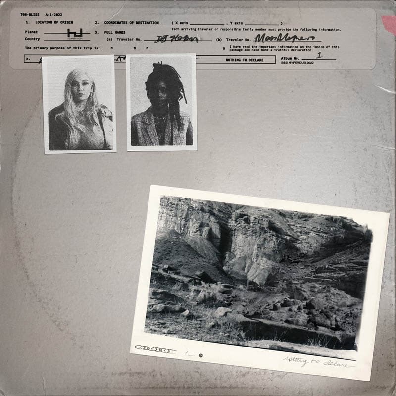 700 Bliss - Nothing To Declare (CD)