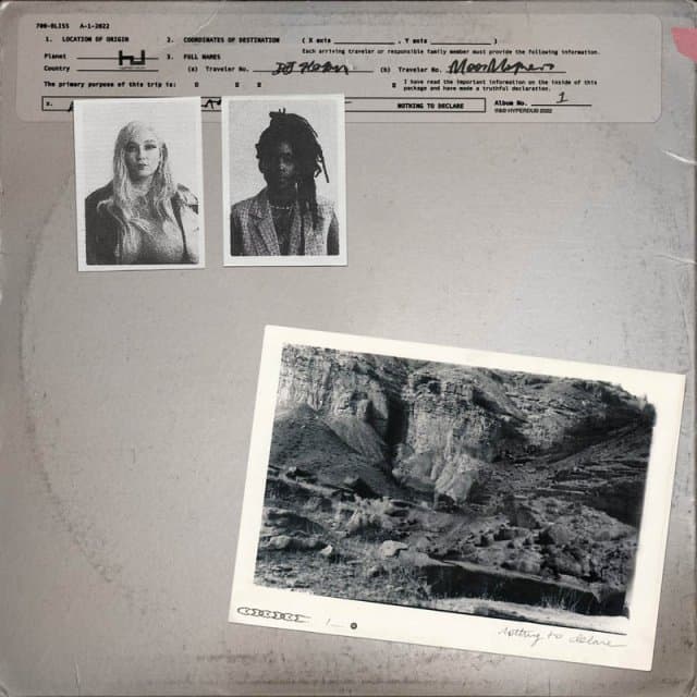 700 Bliss - Nothing To Declare (CD)