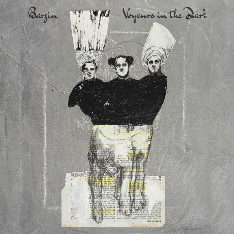 Barzin - Voyeurs In The Dark (LP) (Limited Edition)