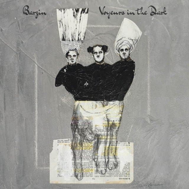 Barzin - Voyeurs In The Dark (LP) (Limited Edition)
