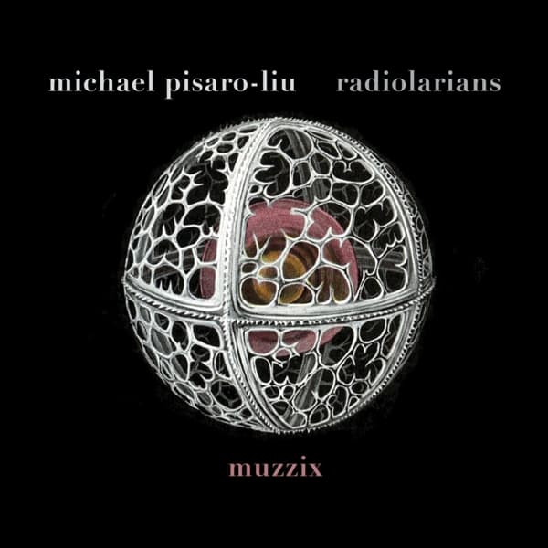 Muzzix - Michael Pisaro-Liu: Radiolarians (CD)