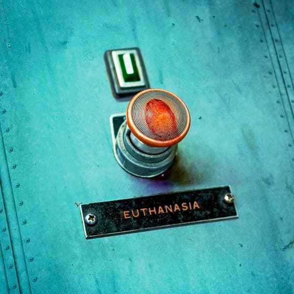 Stray From The Path - Euthanasia (CD)