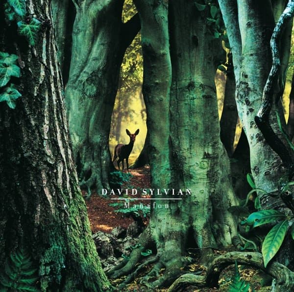 David Sylvian - Manafon (2 LP) (2 LP)