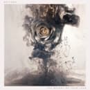 Editors - The Weight Of Your Love (CD)