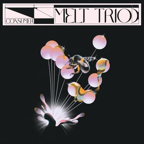 Melt Trio - Consumer (CD)