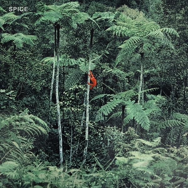 Spice - Spice (LP) (Coloured Vinyl) (Limited Edition)