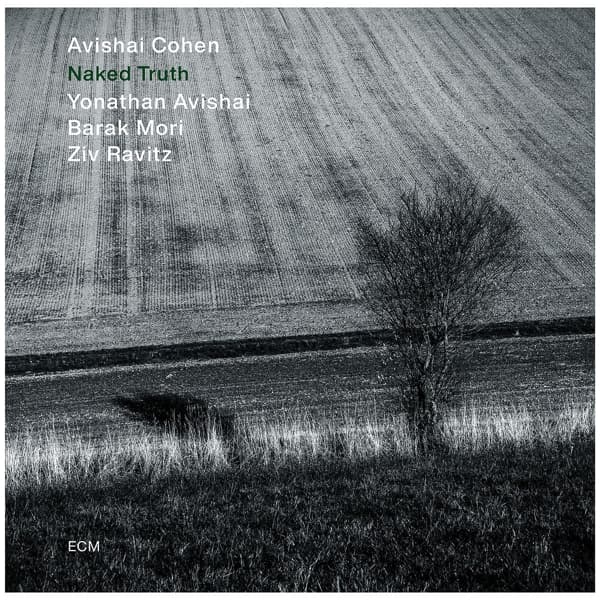 Avishai Cohen, Yonathan Avishai, Ziv Ravitz, Barak Mori - Naked Truth (LP)