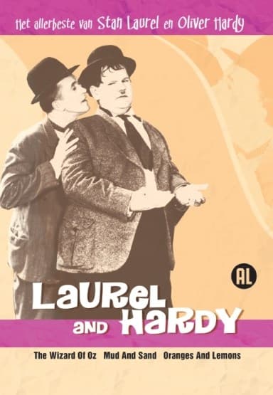Laurel & Hardy - Het Allerbeste Van 5 (DVD)