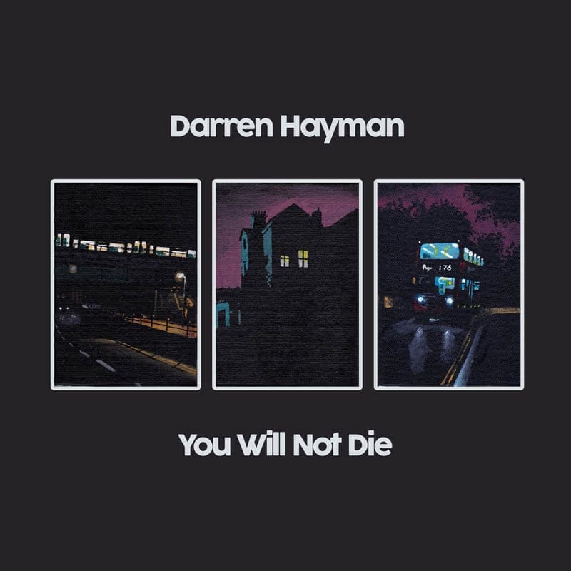 Darren Hayman - You Will Not Die (2 LP) (Limited Edition)