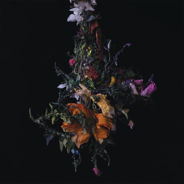 Big|Brave - Nature Morte (LP)