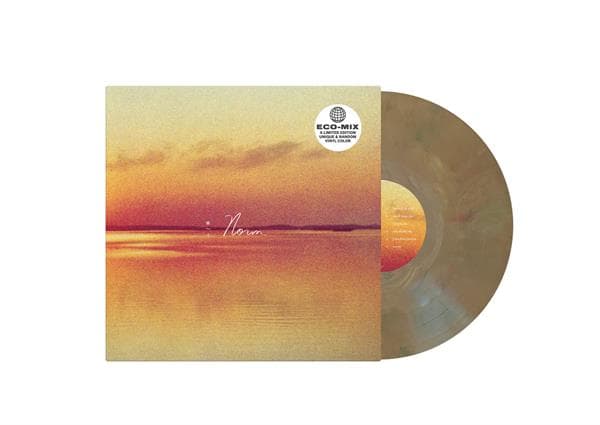Andy Shauf - Norm (LP) (Limited Edition)