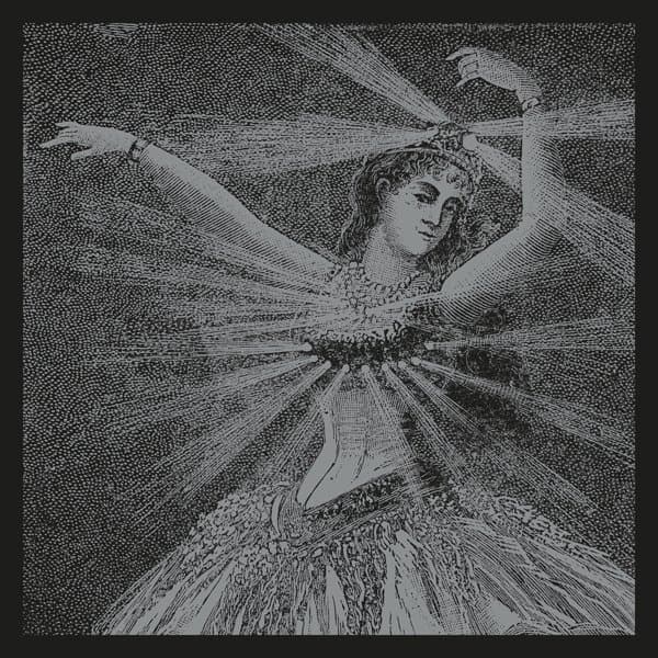 Neutral Milk Hotel - NMH Vinyl Box Set (9 LP) (Coloured Vinyl)