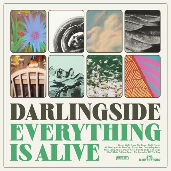 Darlingside - Everything Is Alive (CD)