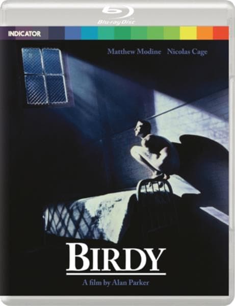 Birdy (Import)