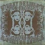 Grey DeLisle - Iron Flowers (CD)