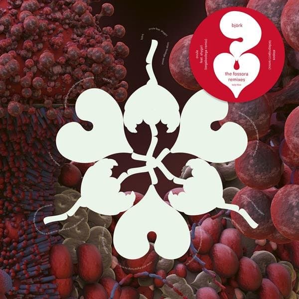 Björk Feat. Shygirl - The Fossora Remixes (12" Single) (Limited Edition) (Coloured Vinyl)
